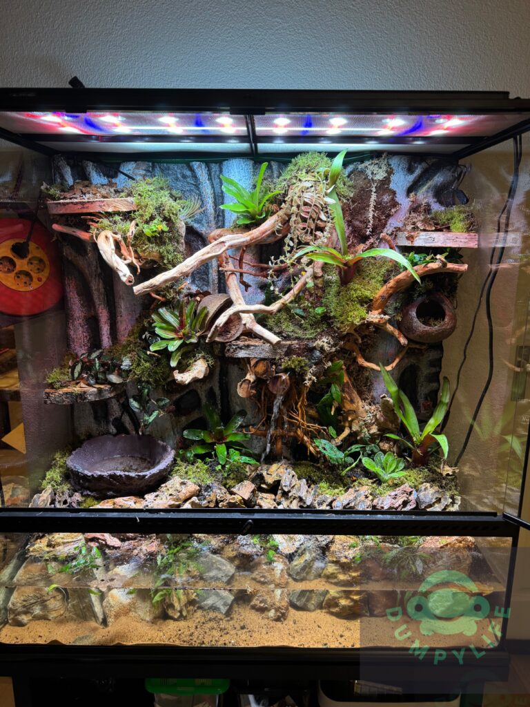 Paludarium met planten compleet 