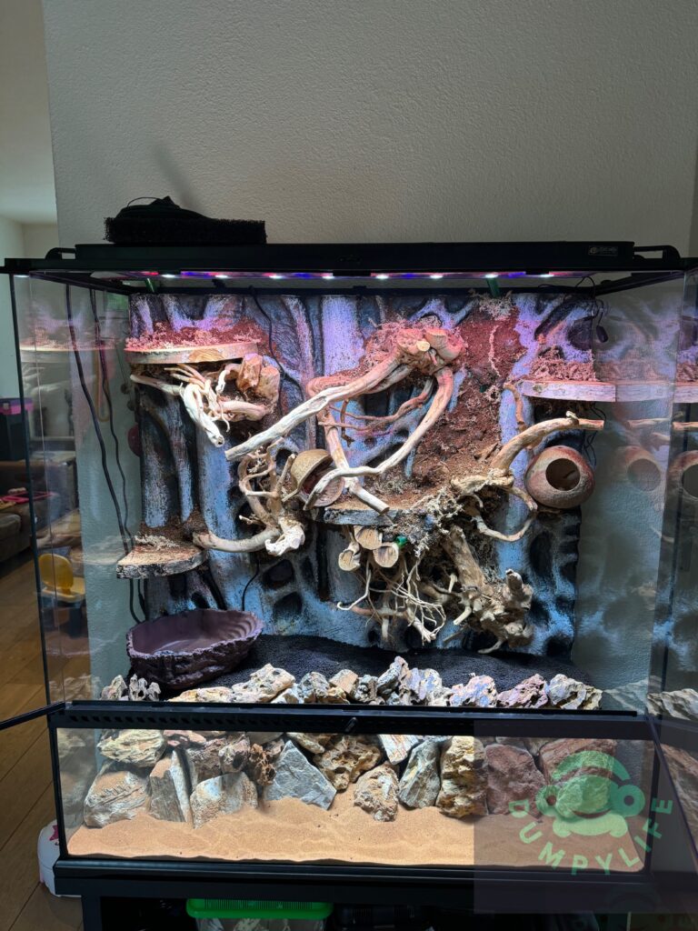 Paludarium met grond en stenen erbij