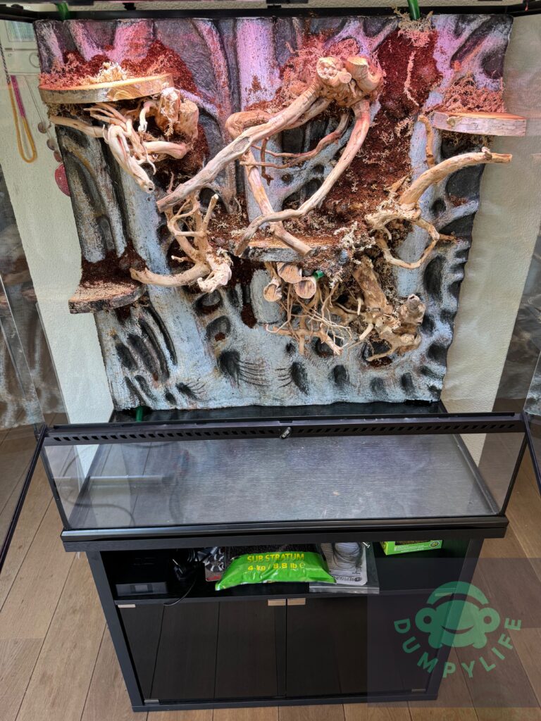 Paludarium met gemaakte achtergrond, rechtop staand