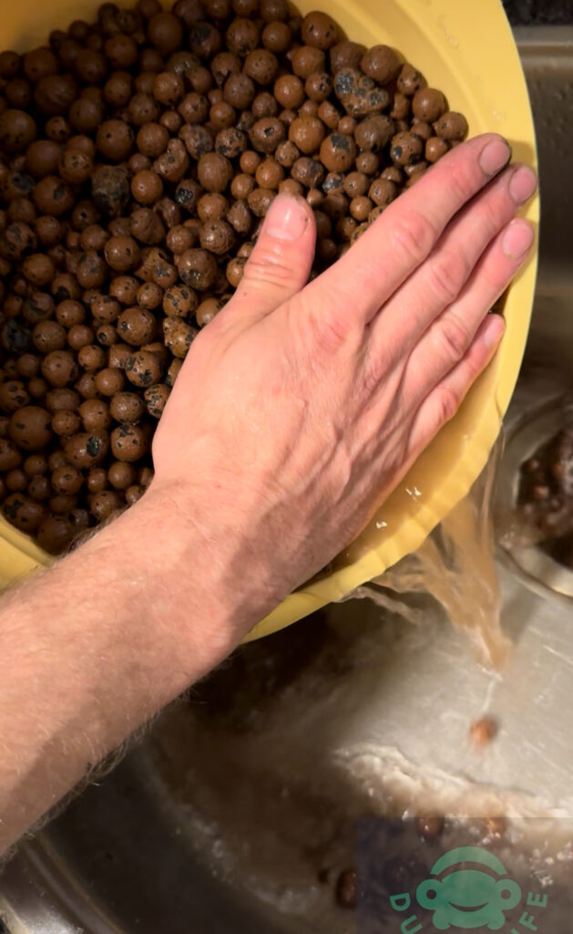 Schoonmaken hydrokorrels vampierkrabbenbak